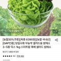 [롯데온]당일수확 무농약 샐러드용 쌈채소 3~5종 믹스 1kg (6,390원/무료)