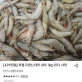 [롯데온] 서해 자연산 대하 새우 1kg 25미 내외 (토스19,970원/무배)