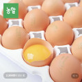 [롯데온] 난각번호 1번 유정란 20구 온누리 추가 할인7% (7,390원/무배)