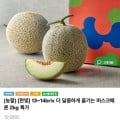 [인더마켓]머스크메론 2kg 2입 (12,950원/무료)
