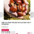 [11번가]순천 알밤 특 2kg(9,850원/무배)