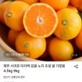 [롯데온]제주 서귀포 타이벡 감귤 노지 조생 귤 로얄과 4.5kg (8,690원/무료)