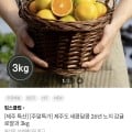 [이랜드몰]제주도 26년 노지 감귤 로얄과 3kg (15,980원/무료)