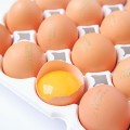 [롯데온] 무항생제 자연방사 난각번호1번 유정란 20구 (7,390원/무료)