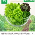 롯데온) (끌올)무농약 샐러드용 쌈채소 3~5종 믹스 1kg (6,390, 무배)