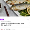 [남도장터]구이용 전어 1kg 13~17미 (12,000원/무료)