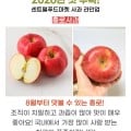 [11번가]부사 사과 가정용 4kg (13,390원/무료)