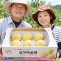 [네이버]설아 백도 복숭아 1.5kg (18,900원 / 무배)