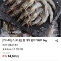 [롯데온]국내산 활 대하 흰다리새우 1kg (13,670원/무료)