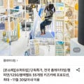 [롯데온]전국 플레이타임/챔피언/1250/블랙벨트 55개점 (9,220원~/무료)