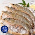 [지마켓]자연산 대하 1kg (28,940원/무료)