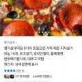 [카카오]피자설기 90g 16개 (19,800원/무료)