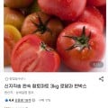 [지마켓]신지직송 완숙 찰토마토 3kg 로얄과 한박스 (14,820원/무료)