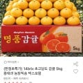 [옥션]감귤 5kg 중대과 농장직송 (8,960원/무배)