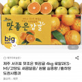 [G마켓]제주 햇감귤 4kg 로얄과 (8,980원/무료배송)