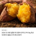[카카오]해남 베니하루카 호박고구마 5kg (15,960원 / 무료)