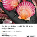 [네이버]통영 제철 비단 홍가리비 2kg (6,360원/네멤무배)