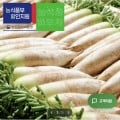 [인더마켓]국내산 무 10kg (9,030원/무료)