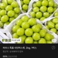 [토스]하우스 특품 샤인머스캣 2kg (8,500원/무료)