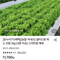 [롯데온] 샐러드용 채소 모듬 1kg (3종 이상) 스마트팜 재배 (7,790원/무료)