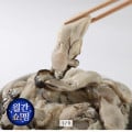 [옥션]통영 생굴 2kg (24,130원/무료)