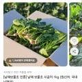 [11번가]남해 보물초 시금치 1kg (6,970원 / 무배)