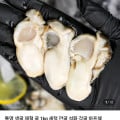 [네이버]통영 생굴 1kg 9,440원 (9,440원/네멤무료)