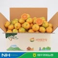 [카카오](농할) 제주 하우스감귤 중대과 로얄과 2kg (9,730원~/무료)