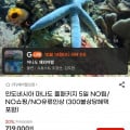 [지마켓]인도네시아 마나도 풀패키지 546,440원