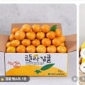 [11번가]노지감귤 4.5kg (9,720원~/무료)