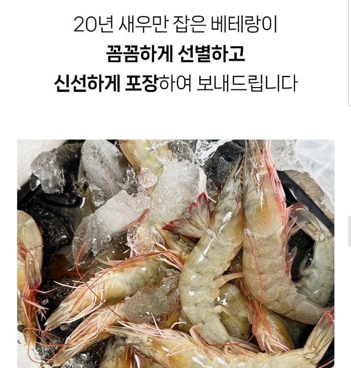 국내산 생물 흰다리 새우 1kg