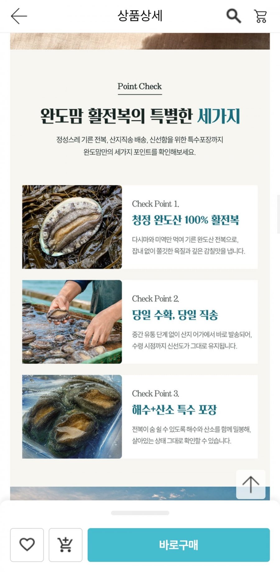 남도장터] 완도 활 전복 6미 1kg