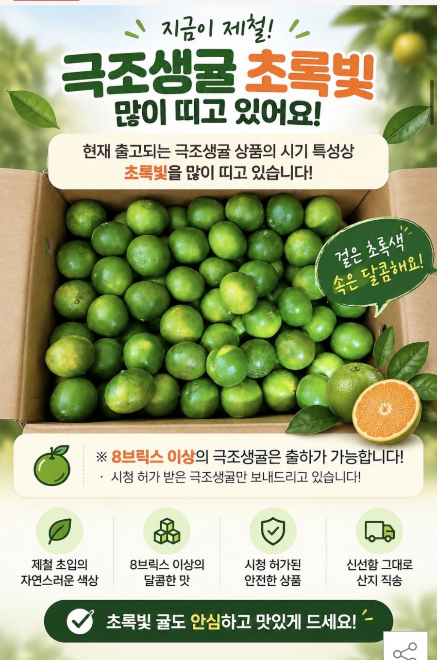 극조생 감귤 중대과 4.5kg