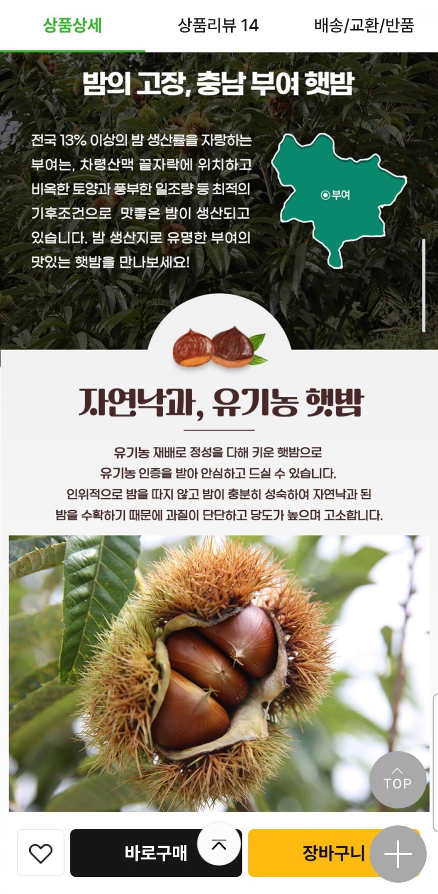 친환경 26년 햇 알밤2kg(대)