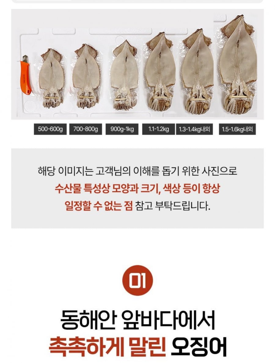반건조오징어 10마리 1.1~1.2kg