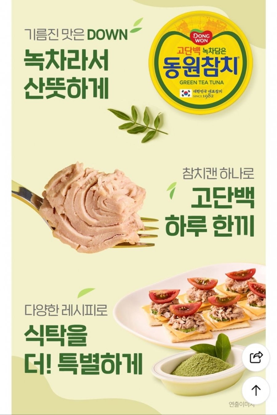 녹차담은 동원참치 85g 24캔