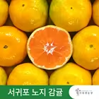 26년 국내산 나주가정용햇배3kg(7,921원),제주 서귀포 노지 감귤 4.5kg(8,835원)/무료