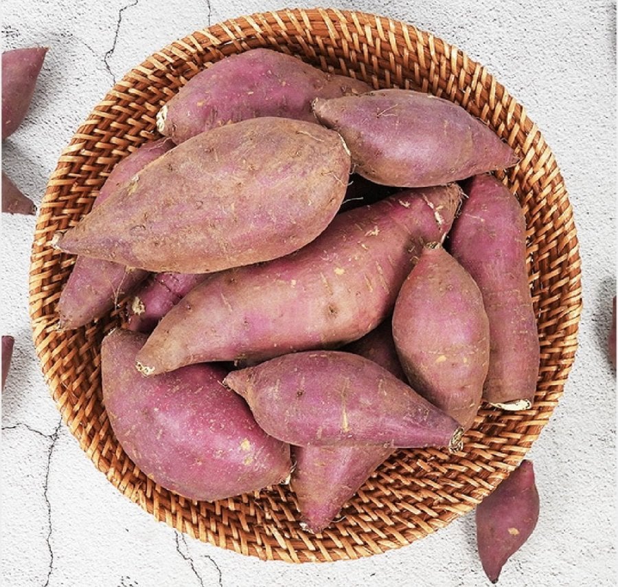 세척 햇 고구마 3kg 특상 (8,960원/무료)