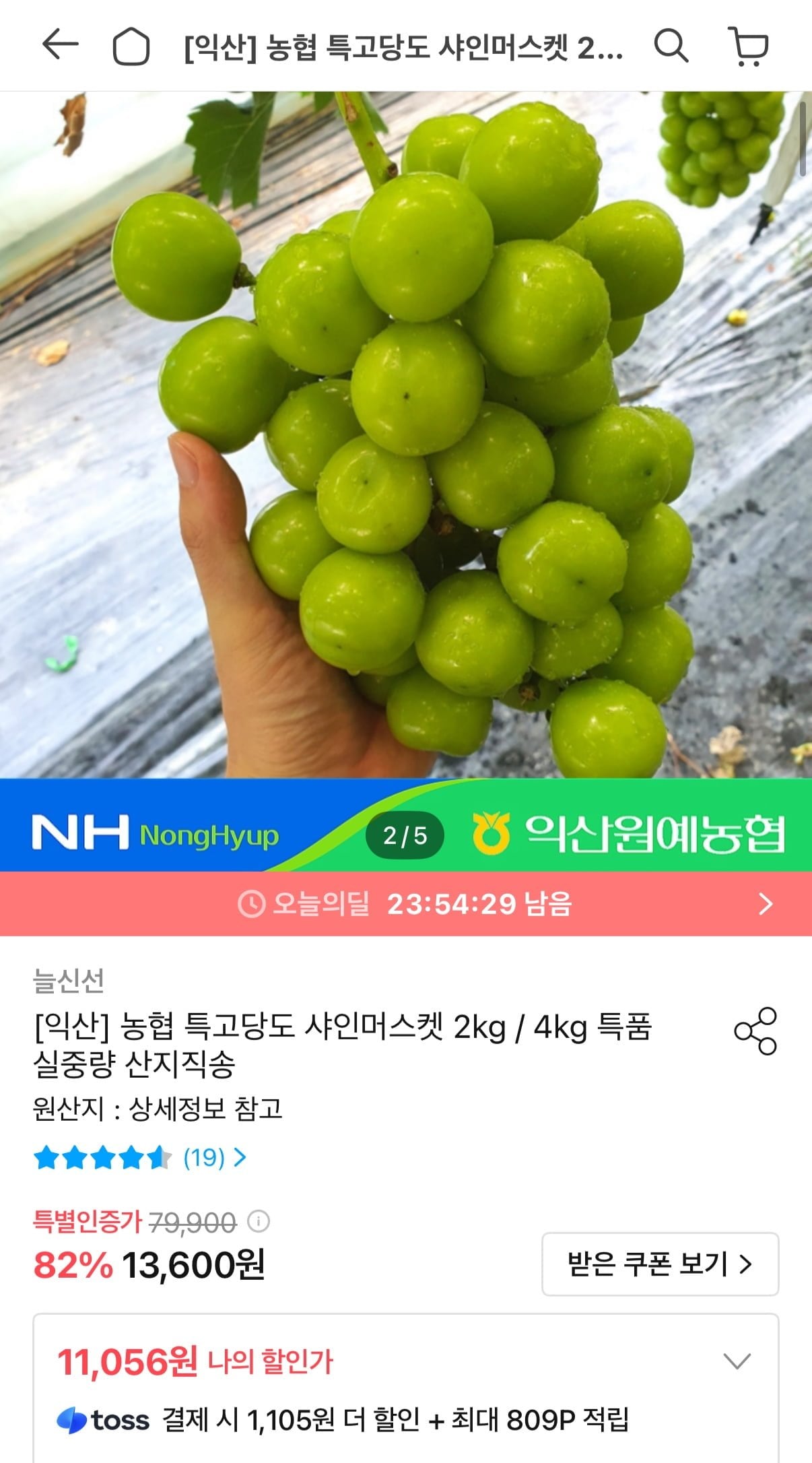 농협 샤인머스켓 2kg 3-4수 (9,951원/무료)